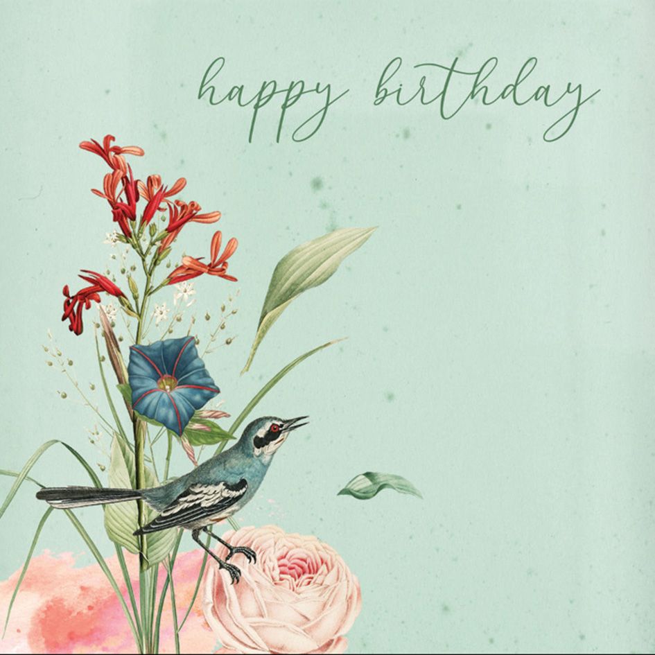 Aero Images Blissful - Happy Birthday Sage