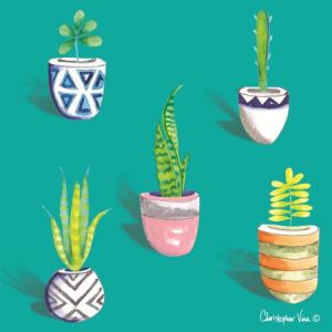 Cactus Pots on Aqua 