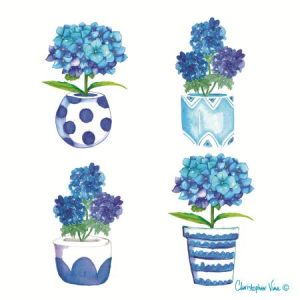 Hydrangea Pots 