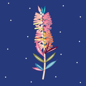 Bottlebrush