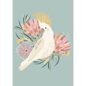 Sulphur Crested Cockatoo