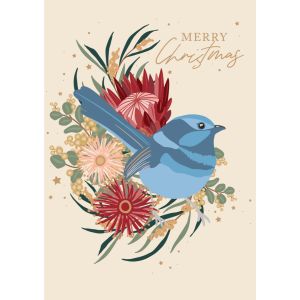 Christmas Blue Wren