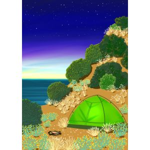 Summer Camp
