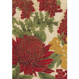 Waratah on Cream