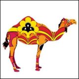 Camel Greeting Card