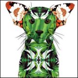 Wild Cat Greeting Card
