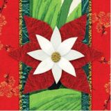 Red Lotus on Red Silk 