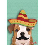 Mexicano Alfie