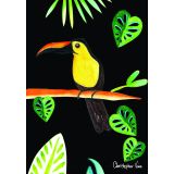 Toucan on Black