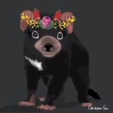 Tassie Devil
