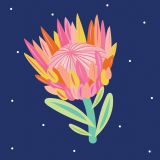 King Protea