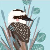 Kookaburra