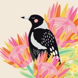 Magpie