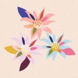 Abstract Flannel Flower