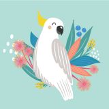Cheery Cockatoo