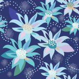 Midnight Flannel Flower
