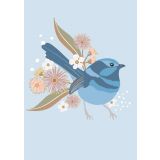 Fairy Wren