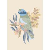 Parrot