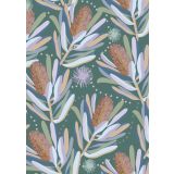 Banksia