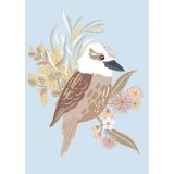 Kookaburra
