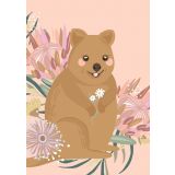 Quokka