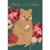 Christmas Quokka