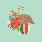 Christmas Echidna