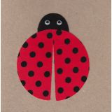 Ladybug