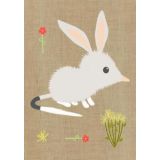 Bilby 
