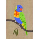 Rainbow Lorikeet 
