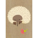 Echidna 