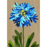 Blue Pincushion 