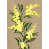 Wattle 