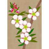 Tea Tree 