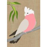 Galah 