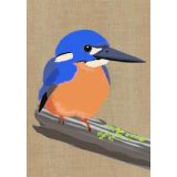 Kingfisher 