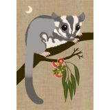 Sugar Glider 