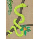 Green Tree Python 