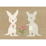 Kangaroo Family