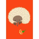 Red Echidna