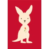 Red Kangaroo
