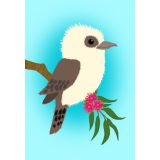 Sky Blue Kooka