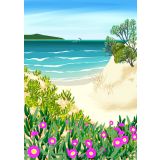 Secret Beach