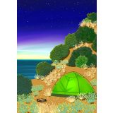 Summer Camp