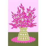 Pink Wax Flower