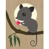 Possum 