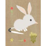 Bilby 