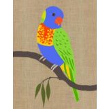 Rainbow Lorikeet 