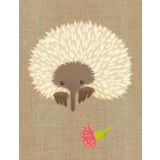 Echidna 