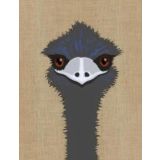 Emu 